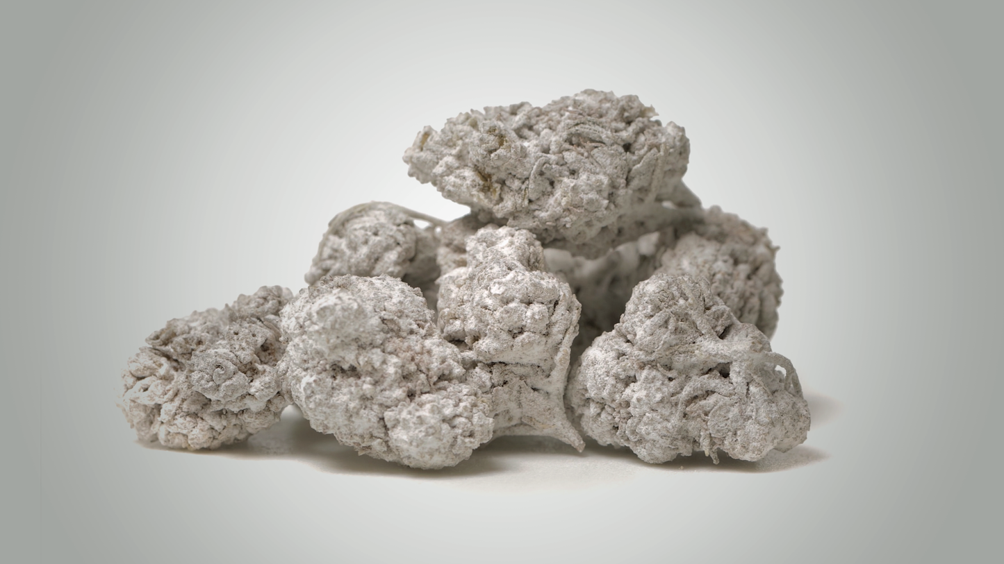 55%CBD_Alba ca Zapada_de la 5 la 100 grame