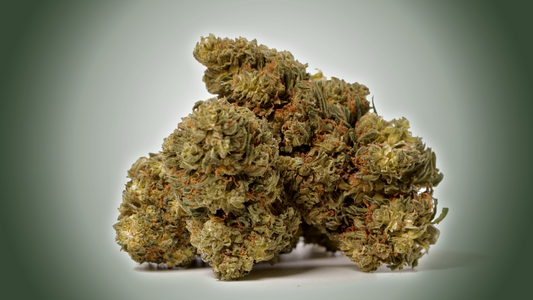 47%CBD_Shinobi_ak47_de la 5 la 100 grame